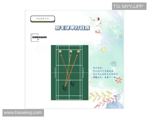 成都羽毛球队的转换打法深度解析与战术创新探讨